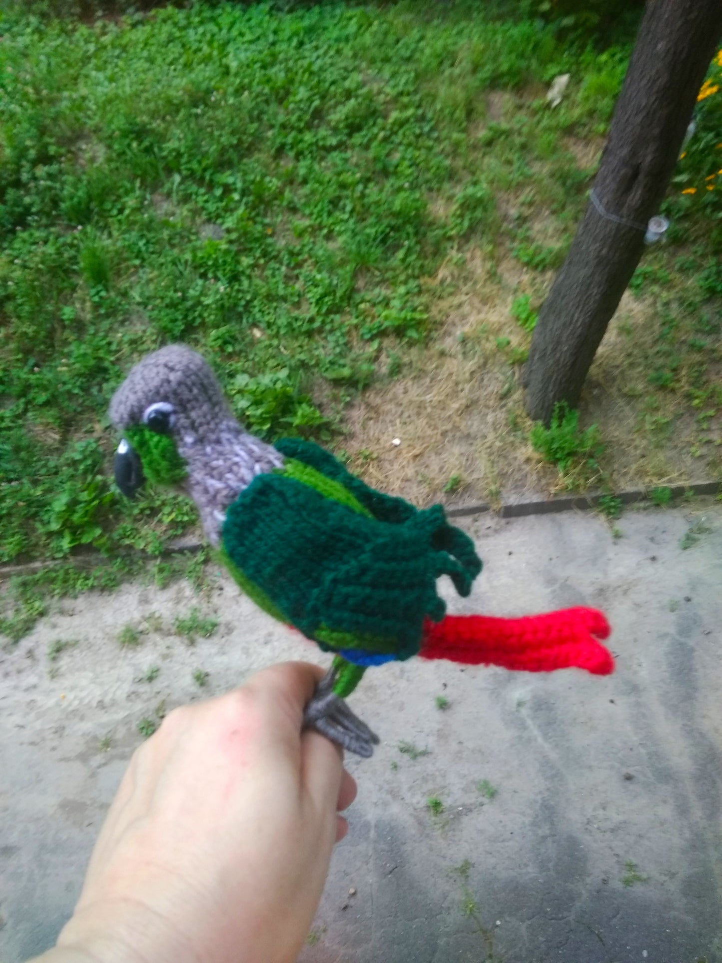 Plush Crochet Green Cheek Conure: Handmade Parrot Bird Figurine