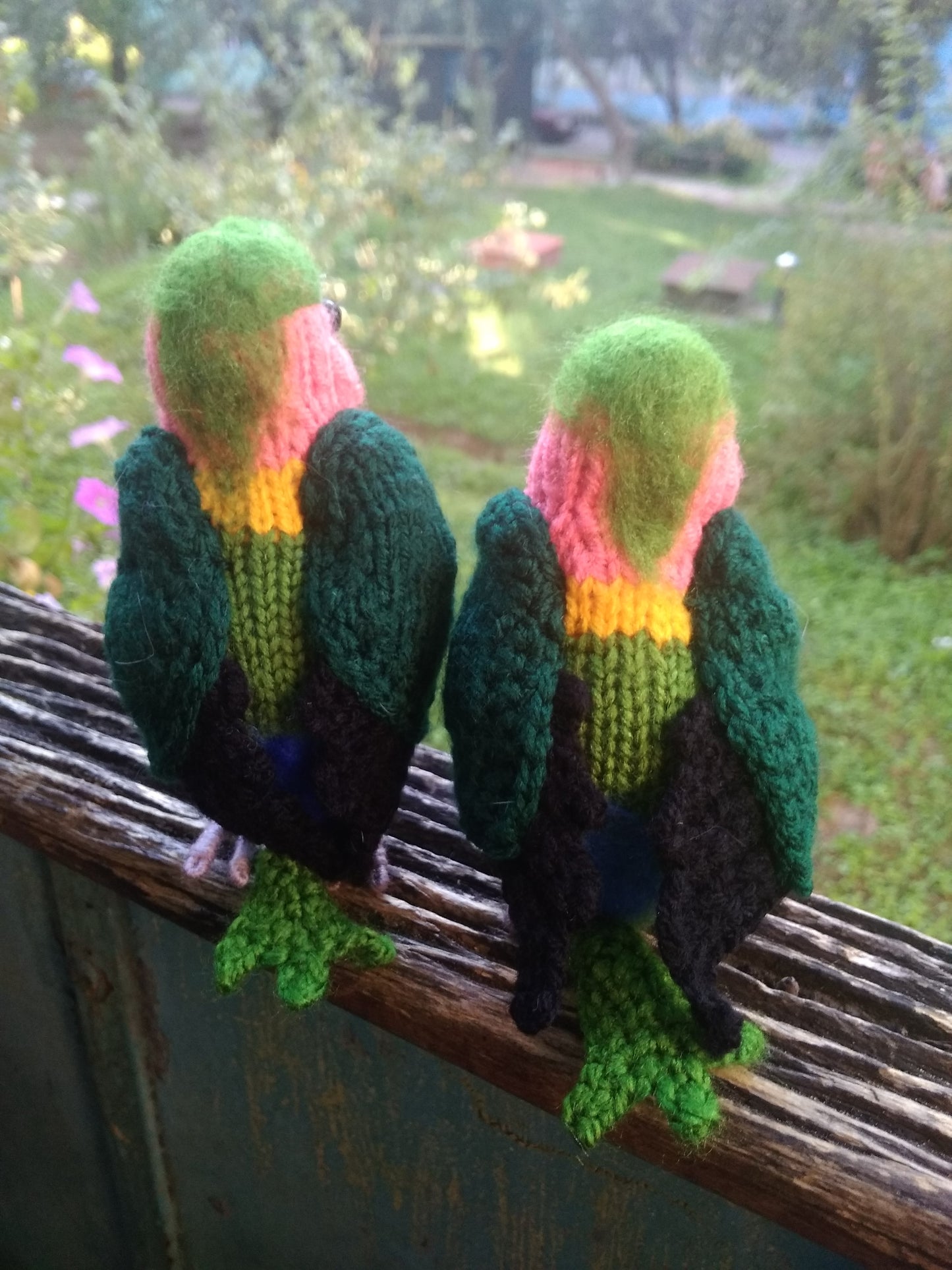 Crochet Lovebird Parrot Plushies: Love Bird for Couples
