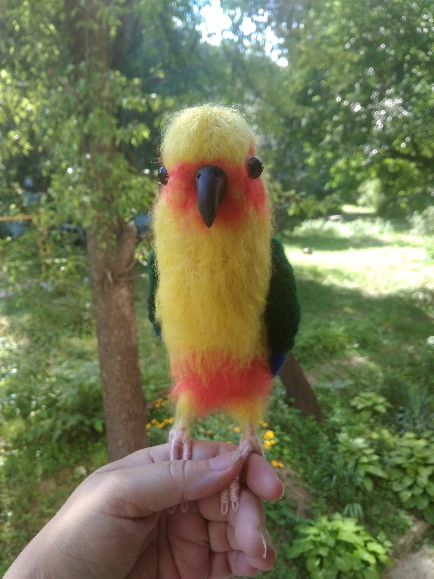 Adorable parrot Jenday Conure figure