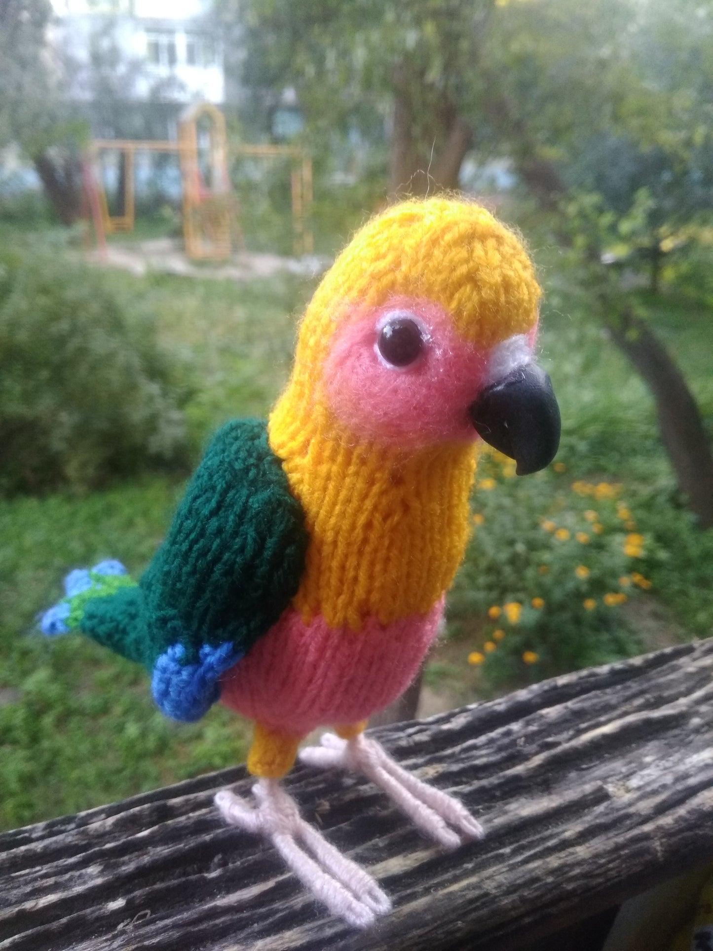 Adorable parrot Jenday Conure figure