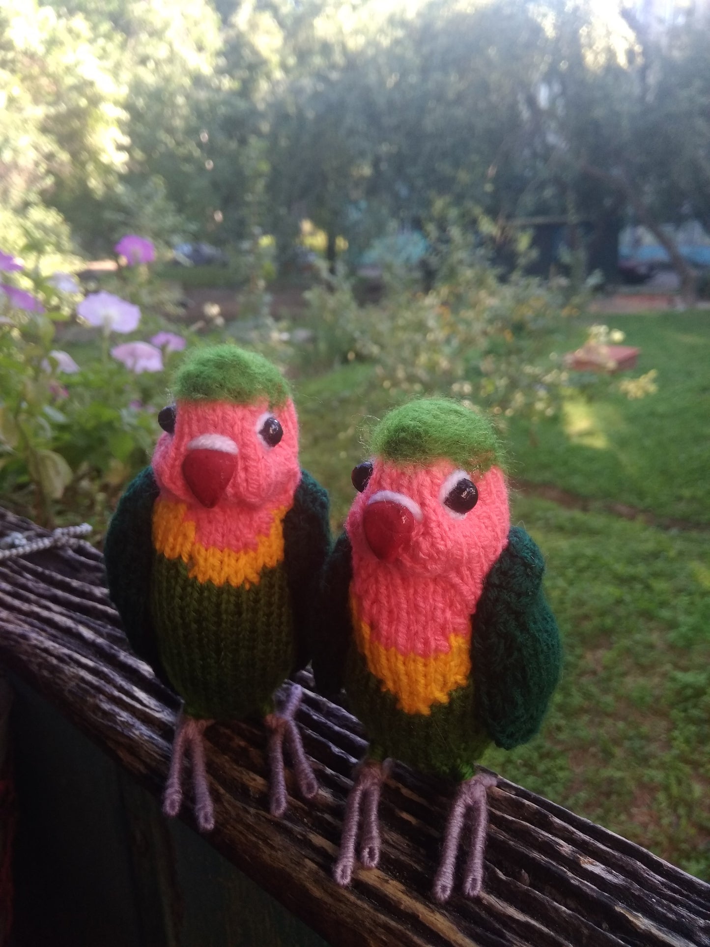 Lovebirds parrots knitted figurines