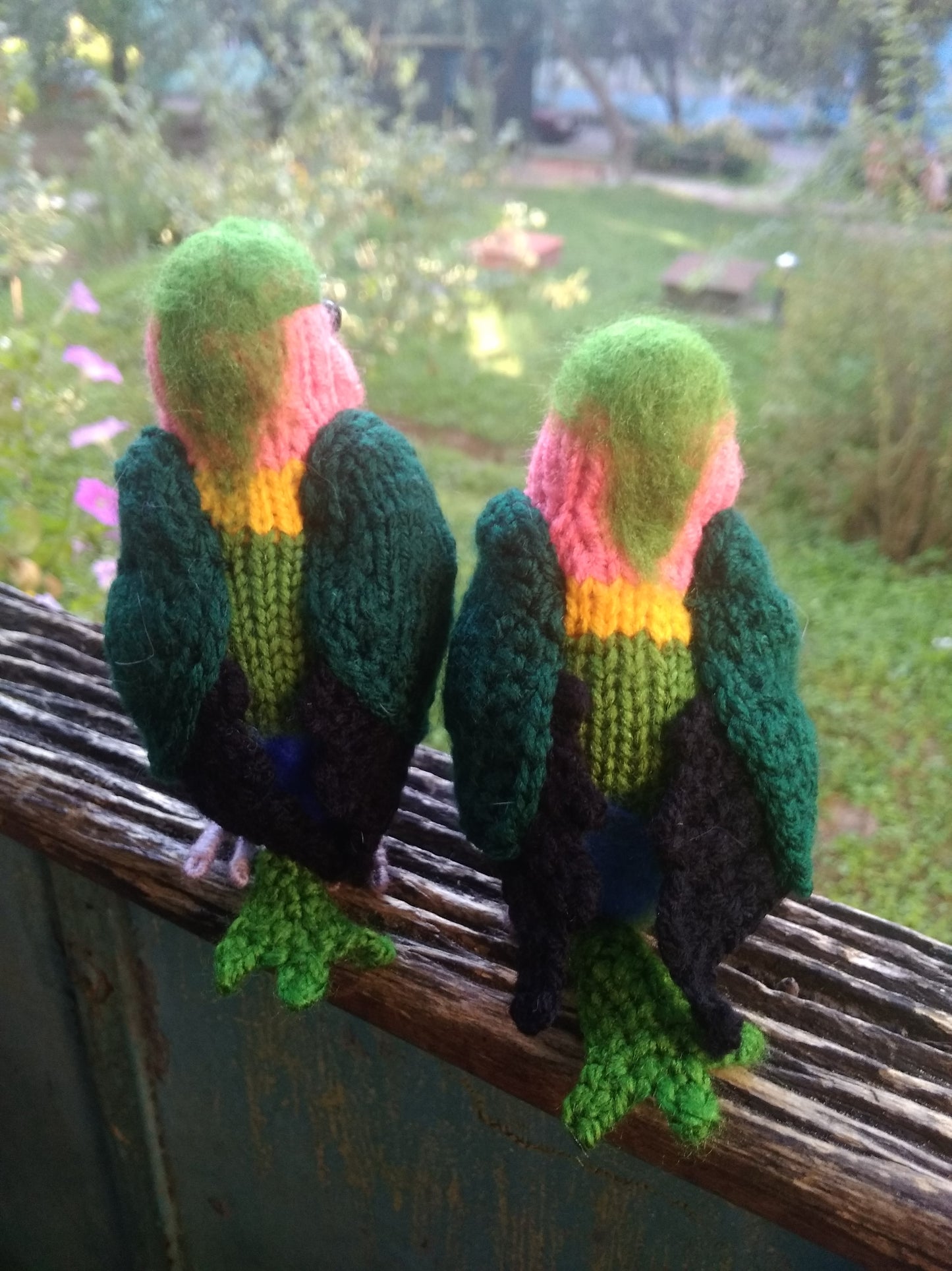 Lovebirds parrots knitted figurines