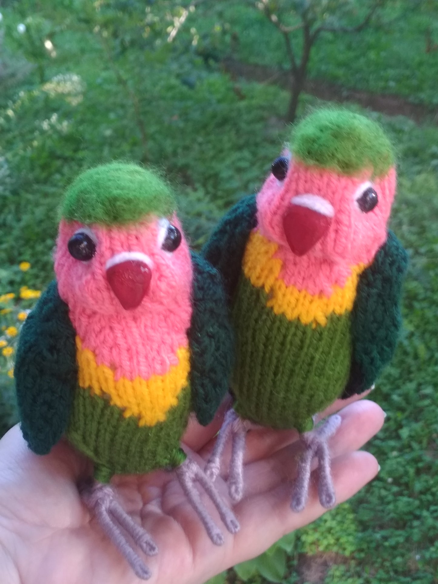 Lovebirds parrots knitted figurines