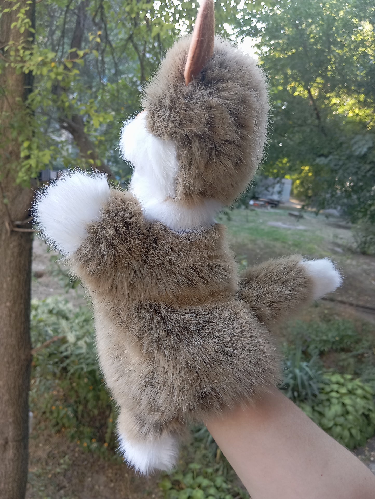 Beige Cat Hand Puppet, Beige cat Hand Puppet, Fluffy Cat hand Puppet, Glove cat, Plush cat